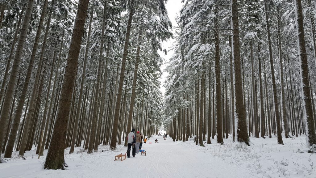 Win­ter­spaß im Harz