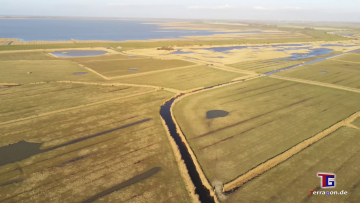 Tanz mit den Vögeln