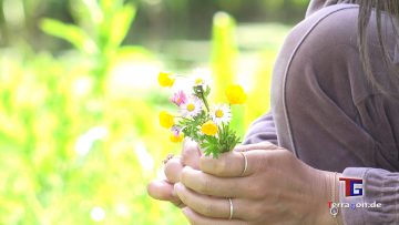 In der Abendsonne: Am Rande der Herrenhäuser Gärten in Hannover