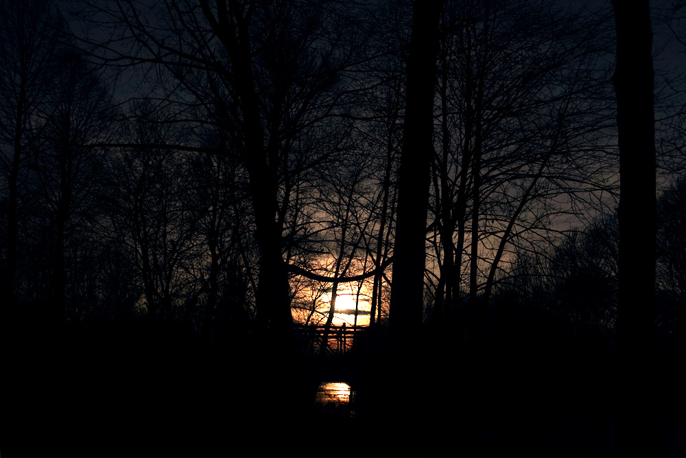 Maschsee am Abend: Konturen vor dem Sonnenuntergang