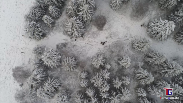 Jahrhundertwinter: Dramatisch schöne Landschaft am Torfhaus im Harz