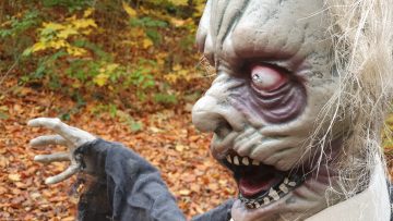 Terragon.de: Halloween in Hannover's Eilenriede