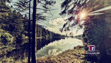 Terragon.de: Herbstliche Natur am Bocksberg im Harz