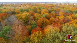 Terragon.de: Hannover's Stadtwald Eilenriede im Herbst von oben