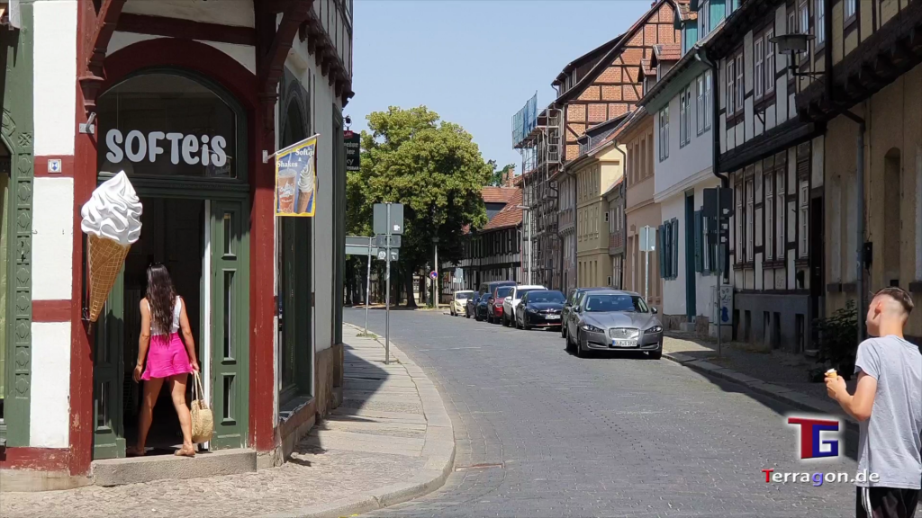 Quedlinburg in Sachsen-Anhalt Reiseblog Vlog Tagesausflug - Terragon.de