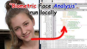Biometric Face Analysis with DeepFace #facerecognition #biometric