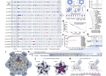 Generative Gestaltung funktionsfähiger Bakteriophagen-Genome mit Genom-Sprachmodellen