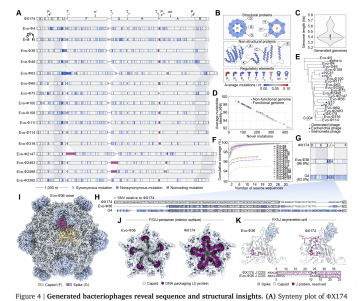 Generative Gestaltung funktionsfähiger Bakteriophagen-Genome mit Genom-Sprachmodellen
